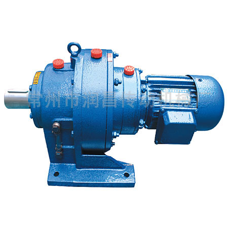 Cycloidal pin wheel reducer