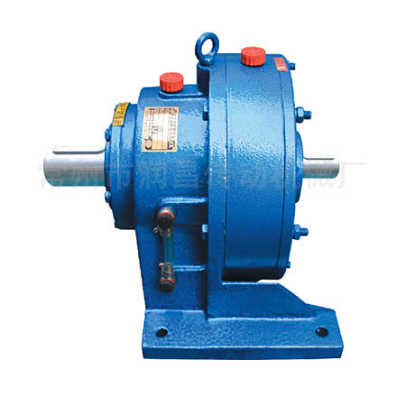 Cycloidal pin wheel reducer