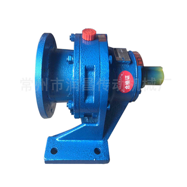 Cycloidal pin wheel reducer